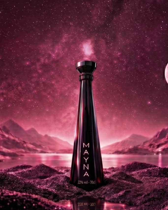 Coffret bouteille de 70cl de Mayna + 2 verres à cocktail en métal